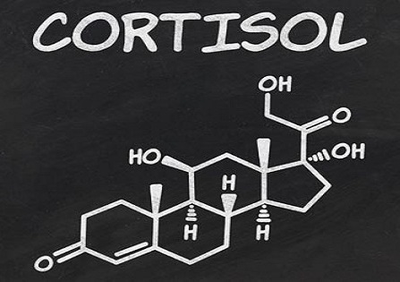 Giảm nồng độ Cortisol trong máu