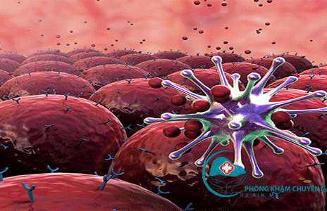 Tăng cường khả năng hoạt động của tế bào NK